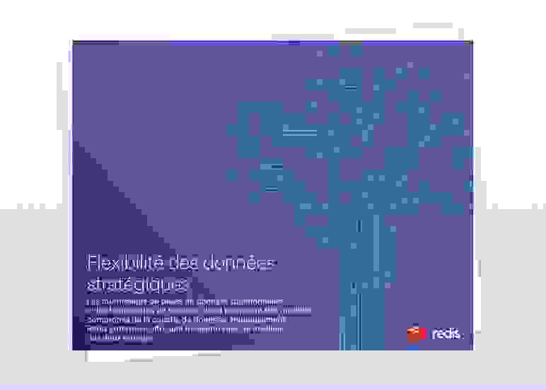 Redis | Flexibilité des données stratégiques